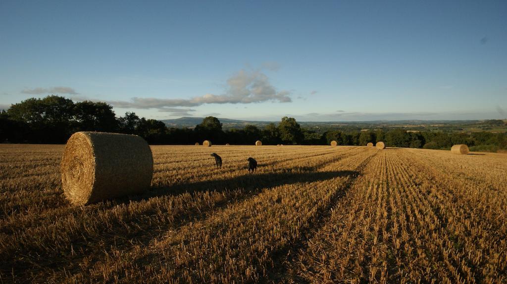 Bed and Breakfast Hills Farm Leominster Esterno foto