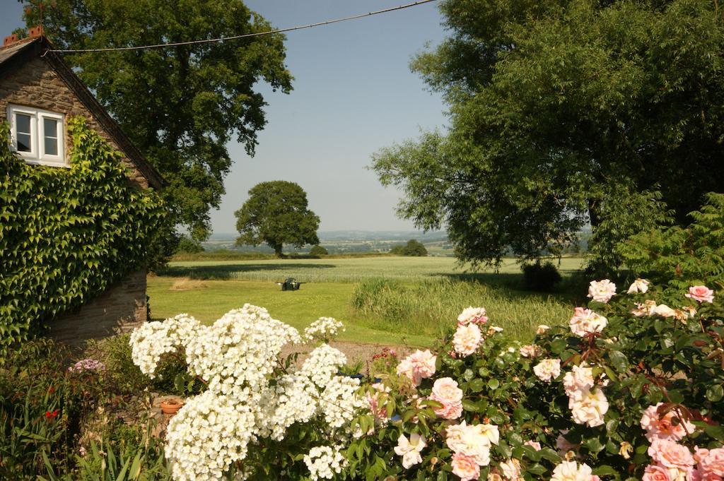 Bed and Breakfast Hills Farm Leominster Camera foto